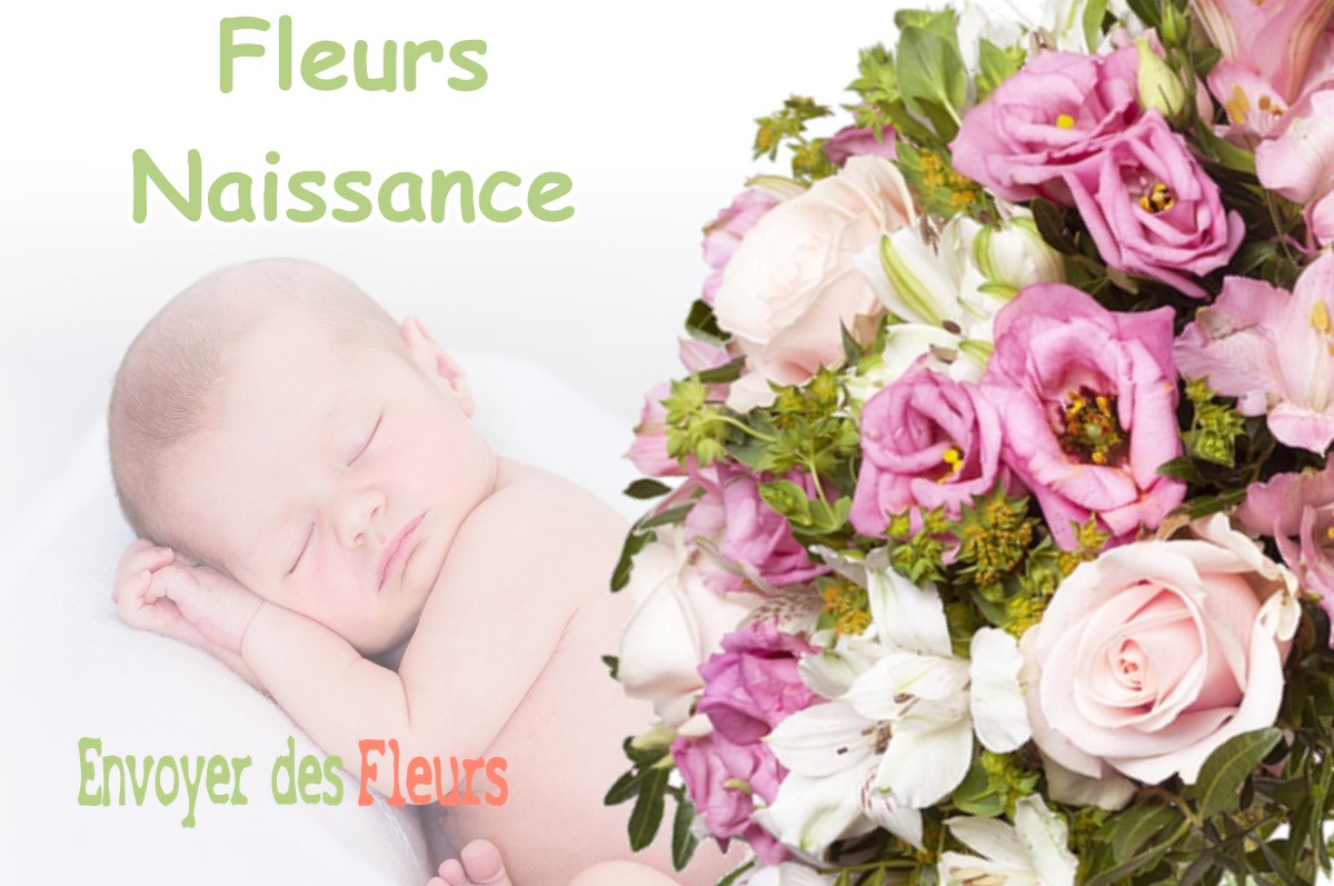 lIVRAISON FLEURS NAISSANCE à JOUY-EN-ARGONNE